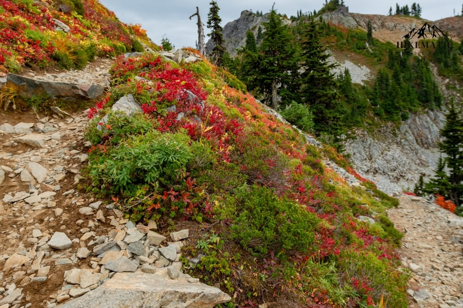 What is a Switchback in Hiking