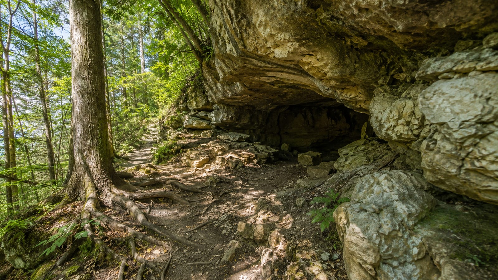 Rocky woodland trail winding toward a shallow cave beneath exposed limestone ledges